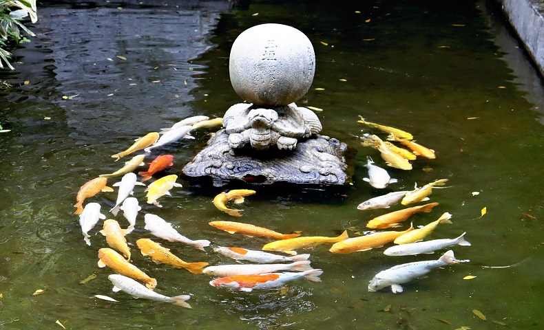 ⛩️ 폭포 신사 (타키노미야 진자) 이미지 7